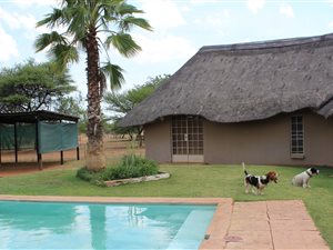 59.7 ha Farm in Bela-Bela (Warmbaths)