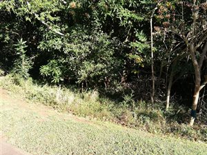 1232 m² Land available in Kelso