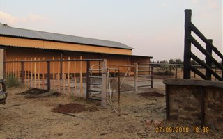 566 ha Farm in Lichtenburg