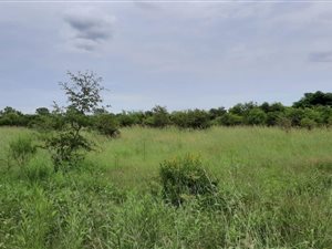 1.2 ha Farm in Pretoria North