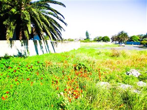 694 m² Land available in Westcliff