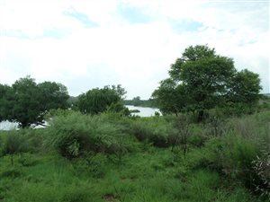 1 ha Farm in Parys