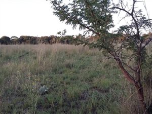 5.1 ha Land available in Bronkhorstspruit