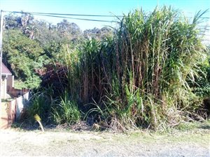 1585 m² Land available in Ramsgate