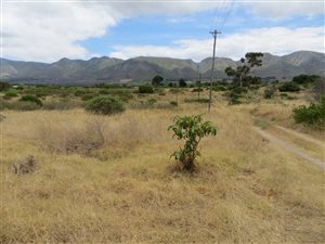 8.9 ha Farm in Stanford