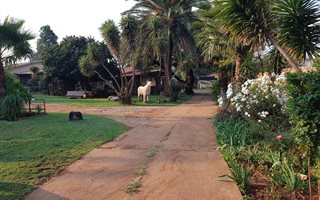 4 Bedroom House in Gerhardsville