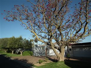 5 Bed House in Golden Hill