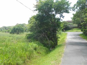 1.1 ha Land available in Port Edward