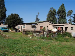 4 ha Farm in Rand Collieries