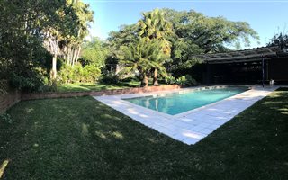2.9 ha Farm in Kwambonambi