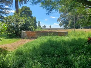 2 ha Farm in Eloff