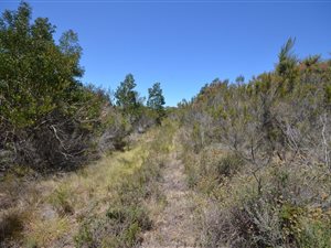 18 ha Land available in Wittedrift