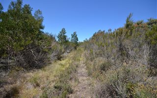 18 ha Land available in Wittedrift