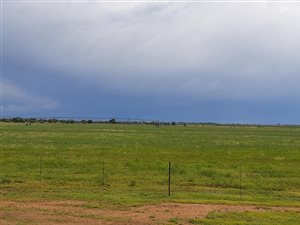461.1 ha Farm in Christiana