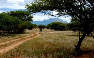 4284 m² Land available in Zandspruit Bush and Aero Estate