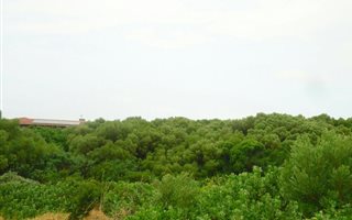690 m² Land available in St Francis Bay