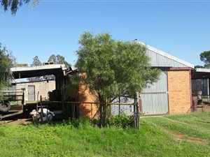 786.8 ha Farm in Bloemfontein Rural