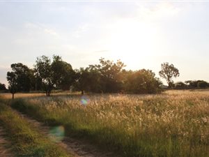 1 ha Land available in Knopjeslaagte