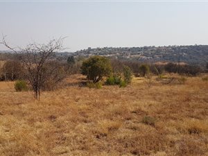8609 m² Land available in Irene Glen Estate