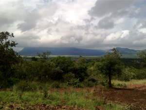 487 ha Farm in Sterkrivier