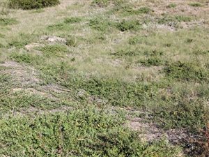 630 m² Land available in Diaz Beach