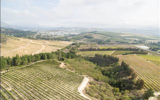 24 ha Farm in Stellenbosch Agricultural