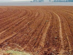 101 ha Farm in Reitz