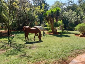 4 Bed House in Pumulani