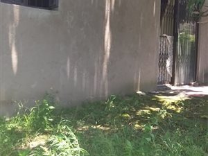 2 Bed House in Klaarwater