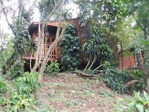 2 Bed Garden Cottage in Amanzimtoti