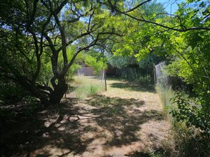 3 Bed House in Heatherdale