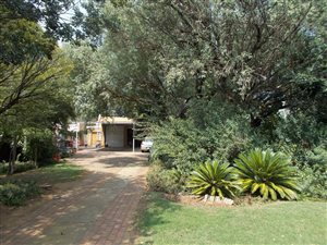 5 Bed House in Ferryvale