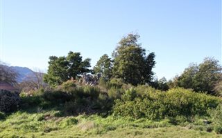 1326 m² Land available in Grabouw