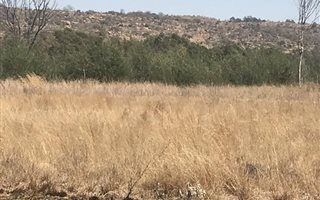 4.2 ha Land available in Tiegerpoort