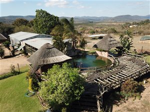 34.8 ha Farm in Louis Trichardt