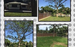 3 Bedroom House in Park Hill