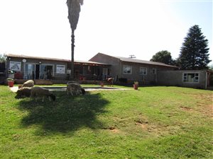 2.7 ha Farm in Bapsfontein
