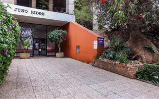 2 Bedroom Apartment in Kensington