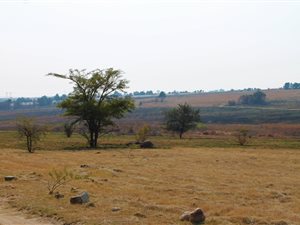 3 ha Farm in Timsrand AH