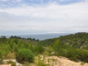 13 ha Agricultural Holding in Keurboomstrand