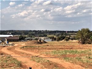 8.6 ha Farm in Knopjeslaagte