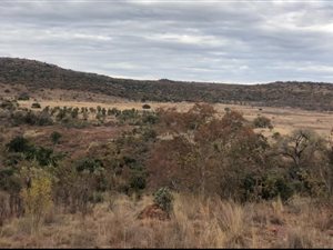 617.4 ha Farm in Middelburg Central