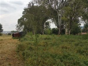3 ha Land available in Raslouw AH