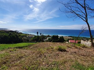 985 m² Land available in Mtwalume
