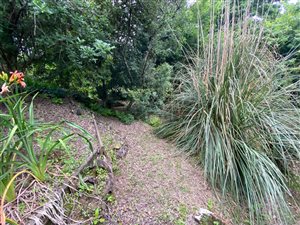 2023 m² Land available in Richmond
