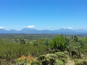 300 m² Land available in Gondwana Game Reserve
