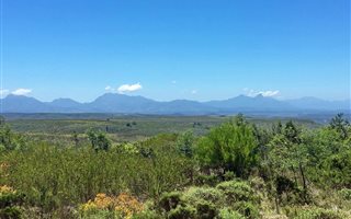 300 m² Land available in Gondwana Game Reserve