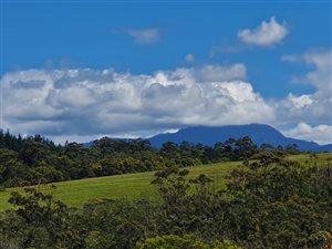 63 ha Farm in Herolds Bay