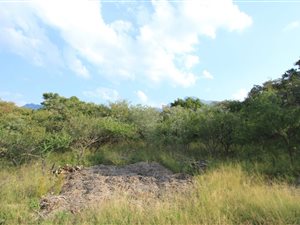 1640 m² Land available in Kampersrus AH