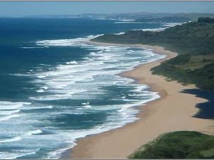 125 ha Farm in Blythedale Beach